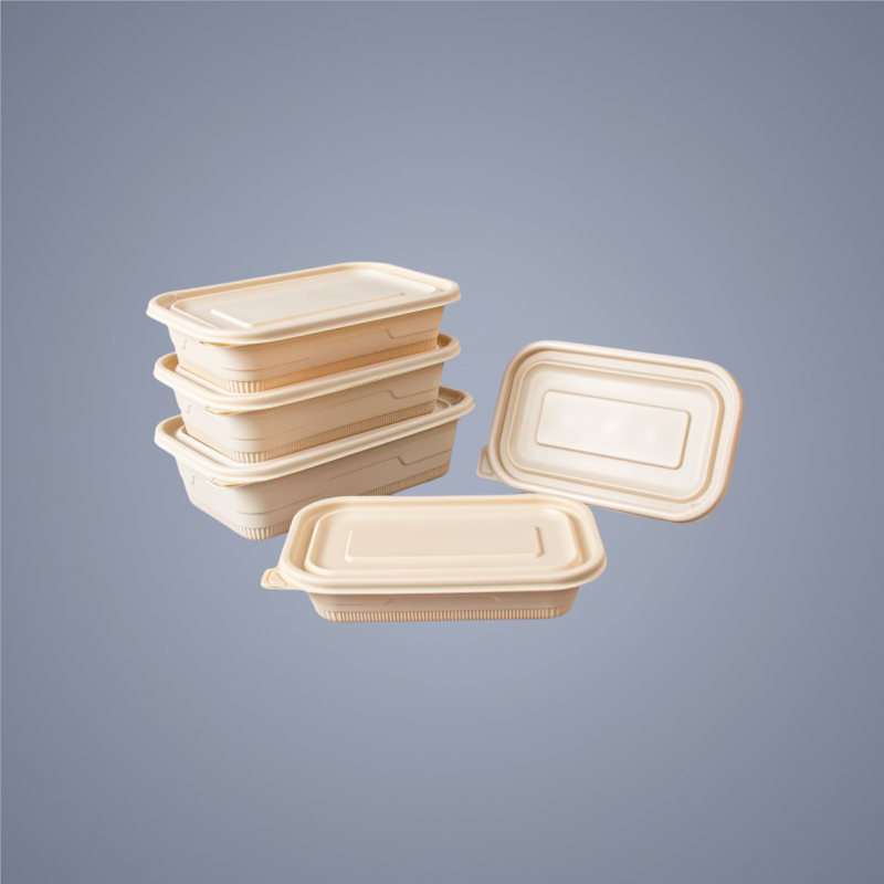 Corn Starch Food Container