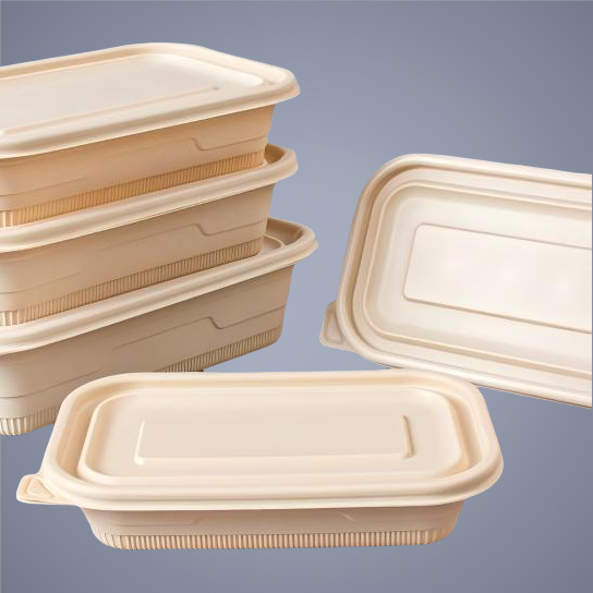 Corn Starch Food Container
